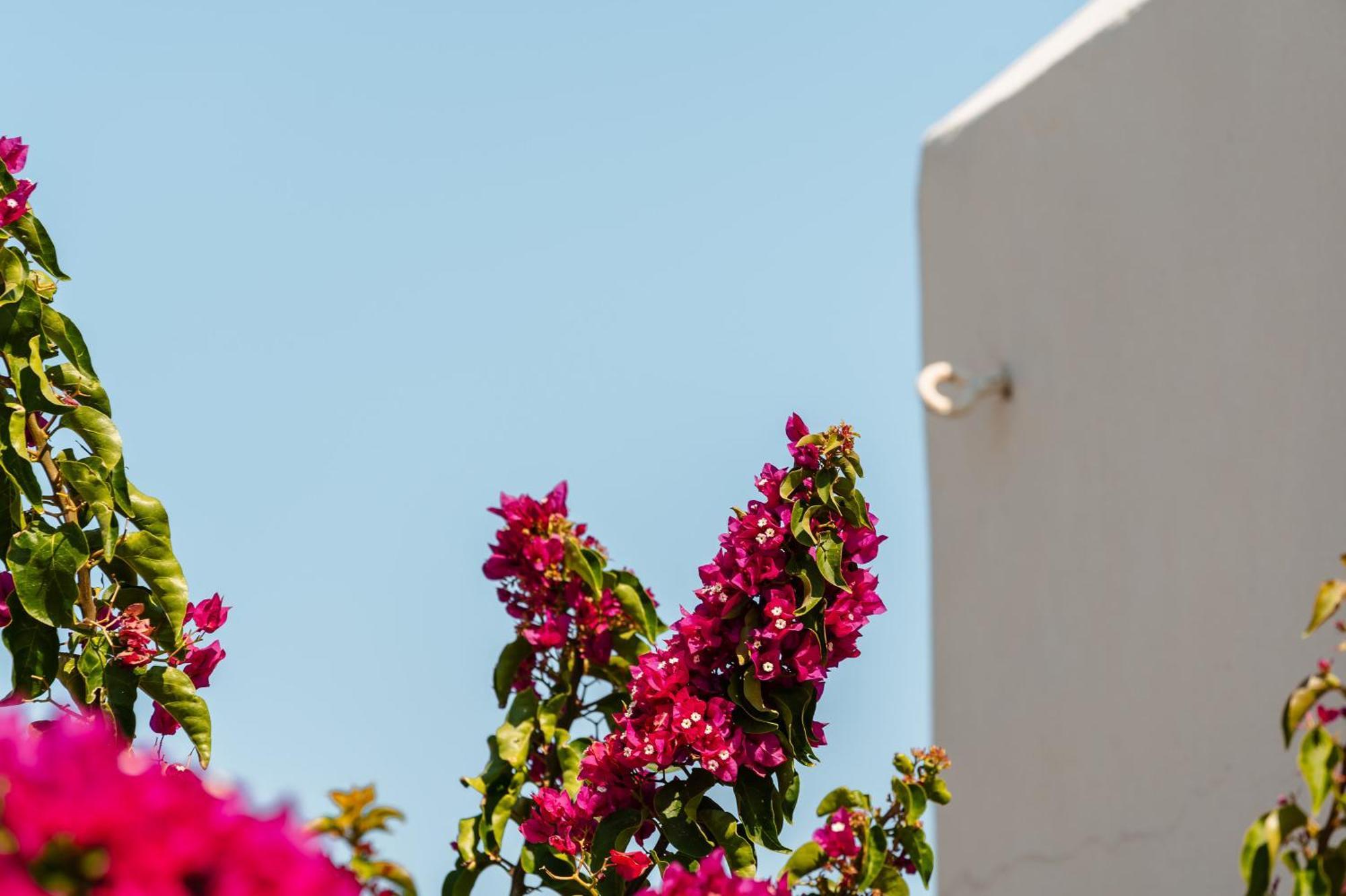Rosabella Home Naxos City Exterior photo